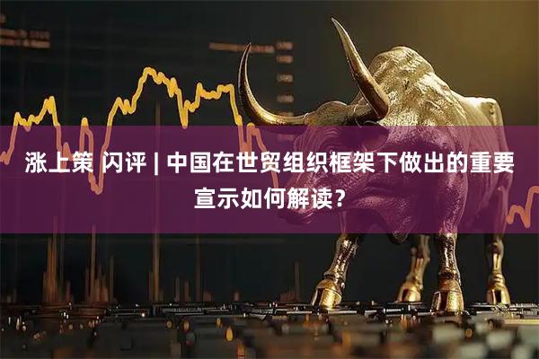涨上策 闪评 | 中国在世贸组织框架下做出的重要宣示如何解读？