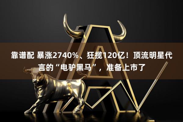 靠谱配 暴涨2740%、狂揽120亿！顶流明星代言的“电驴黑马”，准备上市了